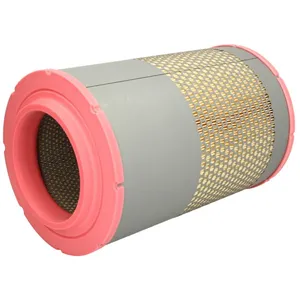 Filtre à air Mann filter C 22 478/1 pas cher