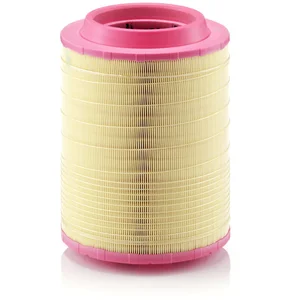 Mann filter C 25 660/2 Filtre à air - POIDS-LOURDS + AUTOBUS pas cher