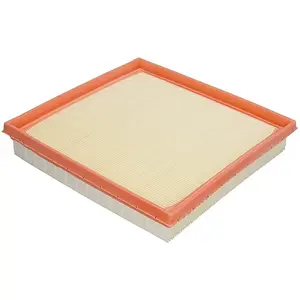Mann filter C 22 038 Filtre à air - VÉHICULE DE TOURISME + UTILITAIRES pas cher