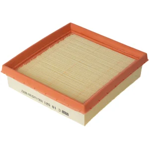 Mann filter C 18 021 Filtre à air - VÉHICULE DE TOURISME + UTILITAIRES pas cher