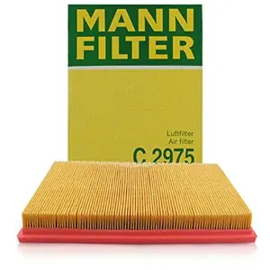 Mann filter C 2975 Filtre à air - VÉHICULE DE TOURISME + UTILITAIRES pas cher
