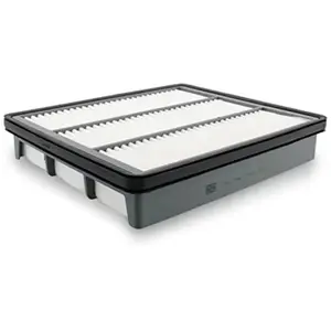 Mann filter C 2542 Filtre à air - VÉHICULE DE TOURISME + UTILITAIRES pas cher