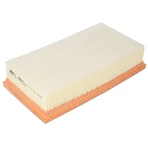 MANN FILTER Filtre à air C2567 pas cher