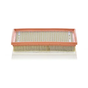 Mann filter C 30 170/1 Filtre à air - VÉHICULE DE TOURISME + UTILITAIRES pas cher