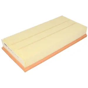 Mann filter C 39 219 Filtre à air - VÉHICULE DE TOURISME + UTILITAIRES pas cher