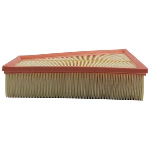 Mann filter C 30 161 Filtre à air - VÉHICULE DE TOURISME + UTILITAIRES pas cher