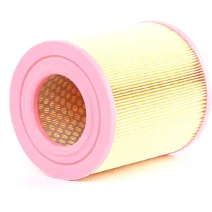 Filtre à Air MANN-FILTER C 39 219 Au Meilleur Prix