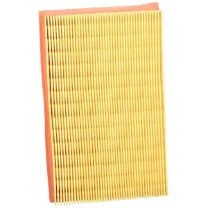 Mann filter C 2448 Filtre à air - VÉHICULE DE TOURISME + UTILITAIRES pas cher