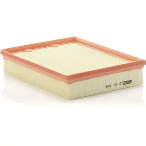 Mann filter C 25 109 Filtre à air - VÉHICULE DE TOURISME + UTILITAIRES pas cher