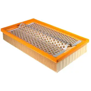 MANN-FILTER C 29 126/2 Filtre à air - VÉHICULE DE TOURISME + UTILITAIRES pas cher
