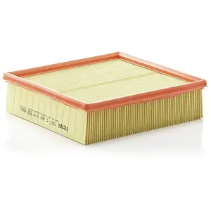 Mann filter C 22 117 Filtre à air - VÉHICULE DE TOURISME + UTILITAIRES pas cher