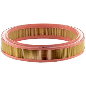 Mann filter Filtre à air pour FORD: Escort, Orion, Fiesta (Ref: C 2736/2) pas cher