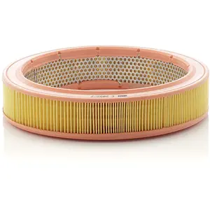 Mann filter C 2852/2 Filtre à air - VÉHICULE DE TOURISME + UTILITAIRES pas cher