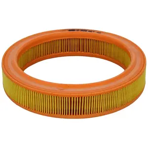 Mann filter Filtre à air pour FORD: Escort, Orion, Fiesta (Ref: C 2534) pas cher