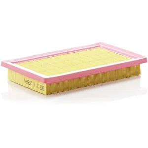 Mann filter C 2568/1 Filtre à air - VÉHICULE DE TOURISME + UTILITAIRES pas cher