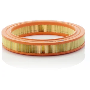 Filtre À Air Mann filter C2634/1 pas cher