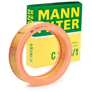 Mann filter C 2873/1 Filtre à air - VÉHICULE DE TOURISME + UTILITAIRES pas cher