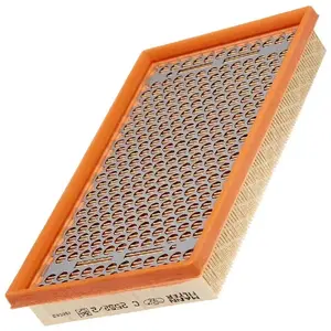 Mann filter C 2552/2 Filtre à air - VÉHICULE DE TOURISME + UTILITAIRES pas cher