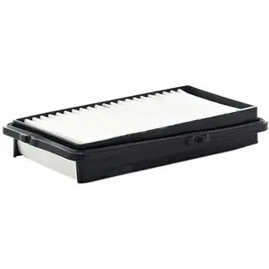 Mann filter C 2537/2 Filtre à air - VÉHICULE DE TOURISME + UTILITAIRES pas cher