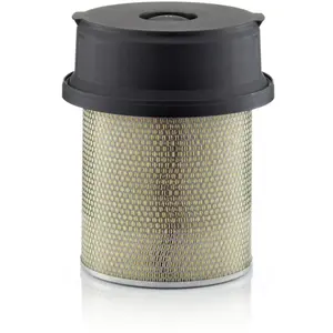Comparateur de prix : Mann filter Filtre à air (Ref: C 29 1219/1)