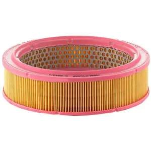 Mann filter C 2443/1 Filtre à air - VÉHICULE DE TOURISME + UTILITAIRES pas cher
