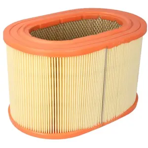 Mann filter C 24 135 Filtre à air - VÉHICULE DE TOURISME + UTILITAIRES pas cher