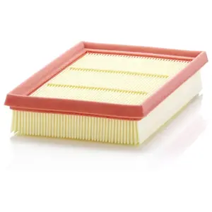 Filtre à air Mann filter C 24 076 pas cher