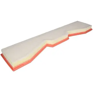MANN-FILTER Filtre à air pour AUDI: RS7, RS6 (Ref: C 61 002)