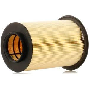 Mann filter C 16 134/2 Filtre à air - VÉHICULE DE TOURISME + UTILITAIRES pas cher