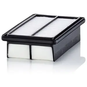 Mann filter Filtre à air (Ref: C 25 050) pas cher