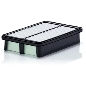 Mann filter Filtre à air (Ref: C 24 071) pas cher