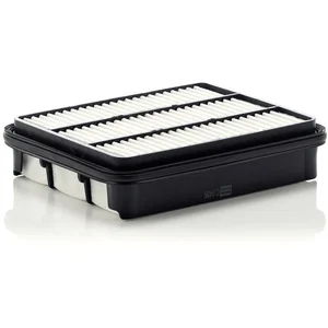 Mann filter C 2438 Filtre à air - VÉHICULE DE TOURISME + UTILITAIRES pas cher