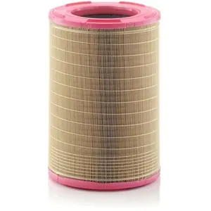 Mann filter Filtre à air (Ref: C 31 1255) pas cher