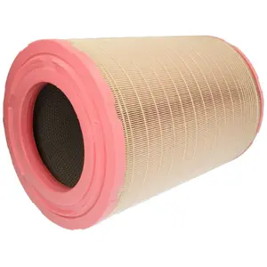 Filtre À Air Mann filter C311254 pas cher