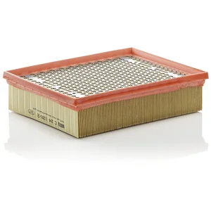 Mann filter C 24 128/2 Filtre à air - VÉHICULE DE TOURISME + UTILITAIRES pas cher