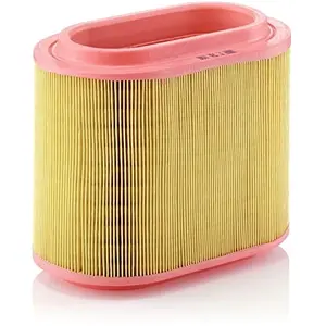 Mann filter C 24 196 Filtre à air - VÉHICULE DE TOURISME + UTILITAIRES pas cher