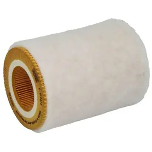 Mann filter C 1036/2 Filtre à air - VÉHICULE DE TOURISME + UTILITAIRES pas cher