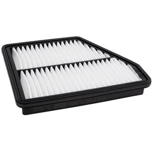 Mann filter C 2421 Filtre à air - VÉHICULE DE TOURISME + UTILITAIRES pas cher