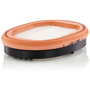 Mann filter CF 2550/1 Elément secondaire - APPLICATIONS NON ROUTIÈRES pas cher