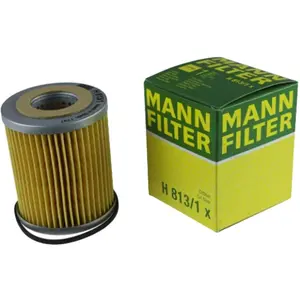 Mann filter H 813/1 x Filtre à huile - VÉHICULE DE TOURISME + UTILITAIRES pas cher