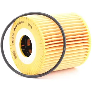 Mann filter HU 819 x Filtre à huile - VÉHICULE DE TOURISME + UTILITAIRES pas cher