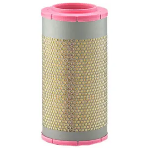 Mann filter C 22 580/1 Filtre à air - POIDS-LOURDS + AUTOBUS pas cher