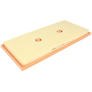 Mann filter C 43 139 Filtre à air - VÉHICULE DE TOURISME + UTILITAIRES pas cher