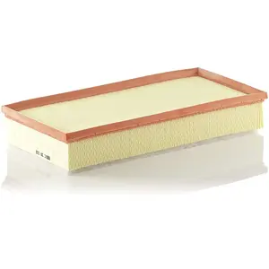 Mann filter C 39 002 Filtre à air - VÉHICULE DE TOURISME + UTILITAIRES pas cher