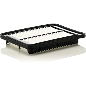 Mann filter C 24 010 Filtre à air - VÉHICULE DE TOURISME + UTILITAIRES