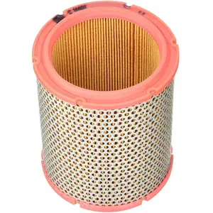 Mann filter C 1440/1 Filtre à air - VÉHICULE DE TOURISME + UTILITAIRES pas cher