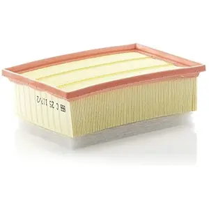 MANN FILTER Filtre à air C25117/2 pas cher