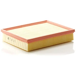 MANN-FILTER C 30 171 Filtre à air pour véhicules particuliers pas cher
