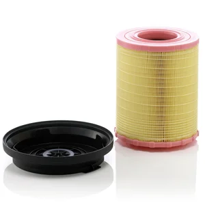 Filtre À Air Mann filter C29010kit pas cher