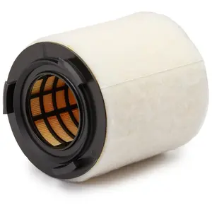 MANN FILTER Filtre à air C15008